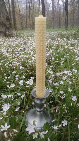 Beeswax Candles (Rolled)